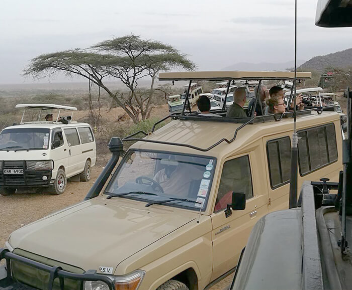 Safari Cars for Rent Hiring a Car in Rwanda.