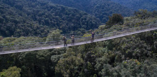 Nyungwe National Park