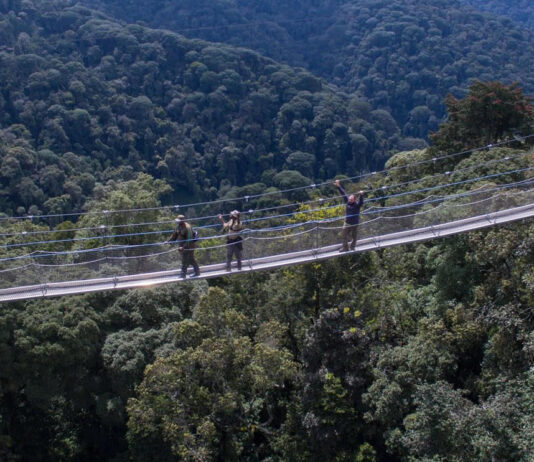 Nyungwe National Park