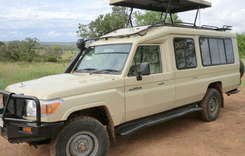 Safari Land Cruiser